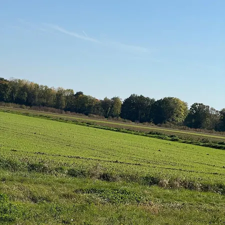 Lejlighed Evasion Detente